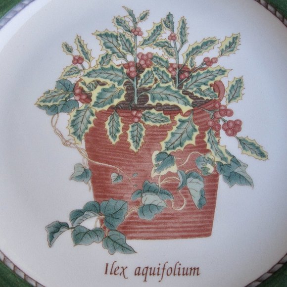 Wedgwood Sarahs Garden Holly & Ivy Ilex Aquiflorium Queens Ware 2 Salad Plates - Picture 8 of 8